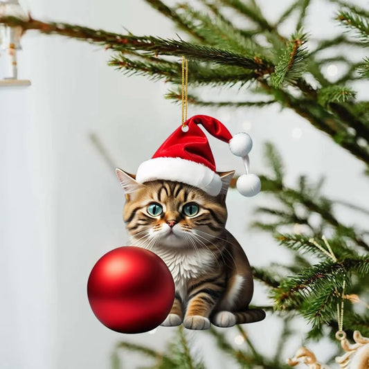 🎄10 Stück😻 Katze Weihnachtsbaumschmuck. Hängende Katze Ornamente