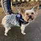 Dragless dog harness for pet